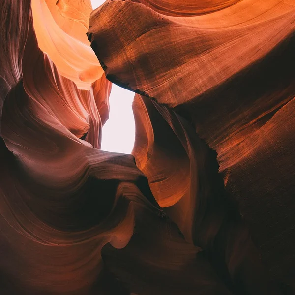 赌博网站老虎机